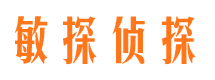 富宁市调查公司